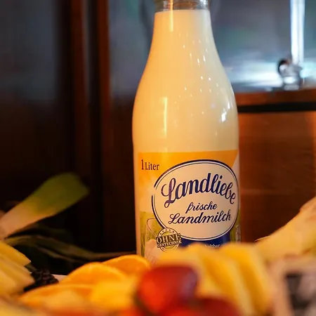 Lumiere An Der Messe فندق 4*