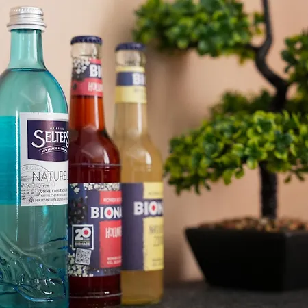 Lumiere An Der Messe 호텔 4*