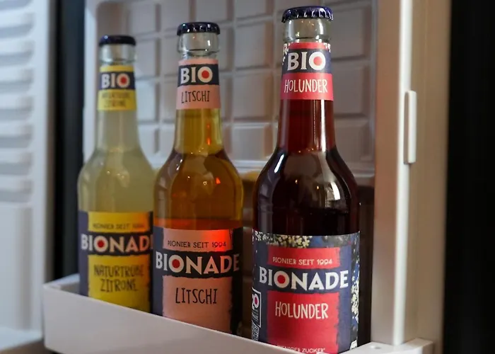 Lumiere An Der Messe Hotel